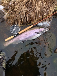 79701D1B-7AAB-499D-AF83-847BCB7E5ACD