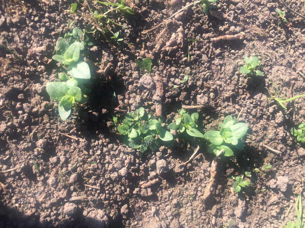 A4078168-4D35-440C-B965-53DEB590A7A8