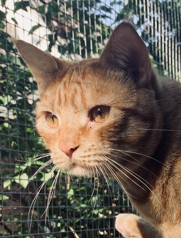 0D95B42E-0033-4254-9266-F97C3659BEE1