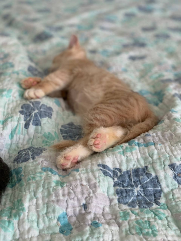 94C89EBB-2451-41EE-BAE2-A998C994C8D5