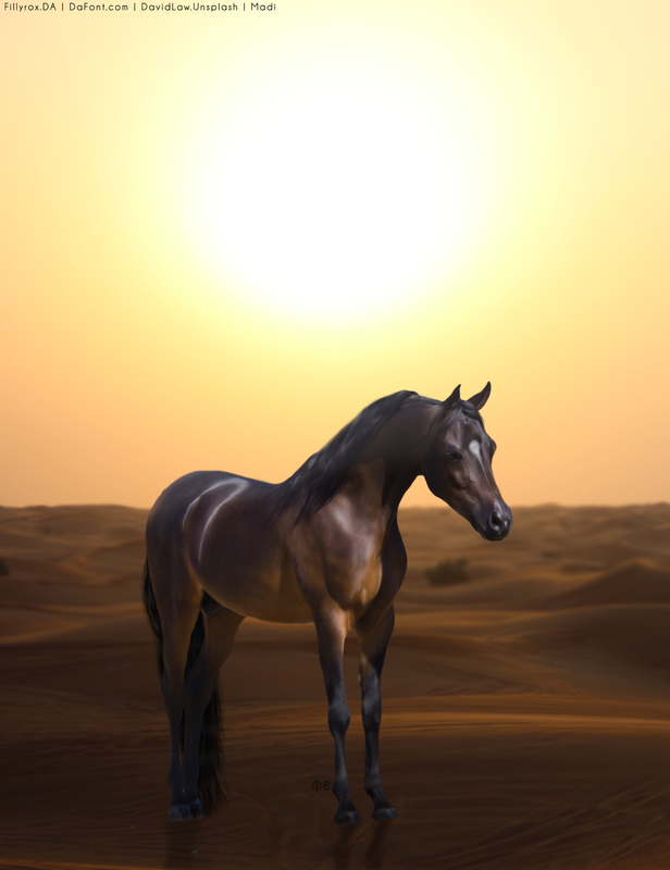 02841B25-A5B5-463C-92DD-F56B70AE74E5