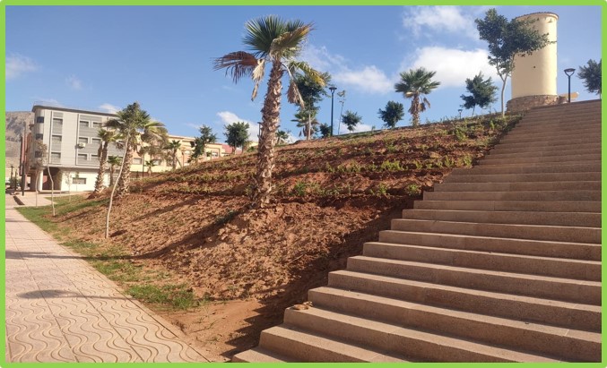 591074698-1385088125867254-8519630525745848540-n