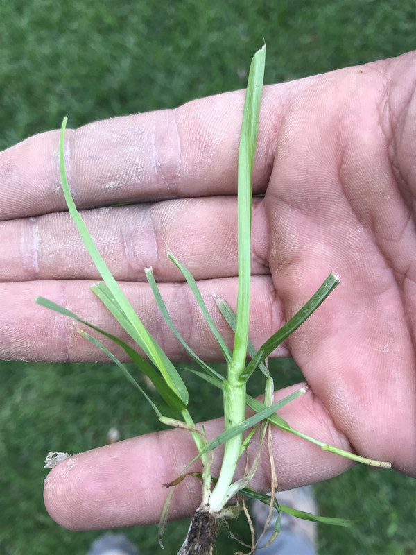 FAE18C83-7F26-45FD-9178-1DD47A9AAA74