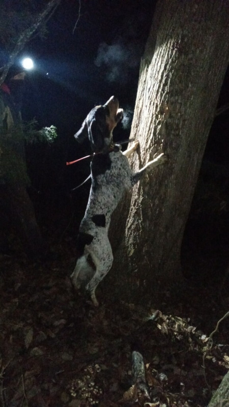 B7820799-2A96-42CE-94CC-FFF9438AF020