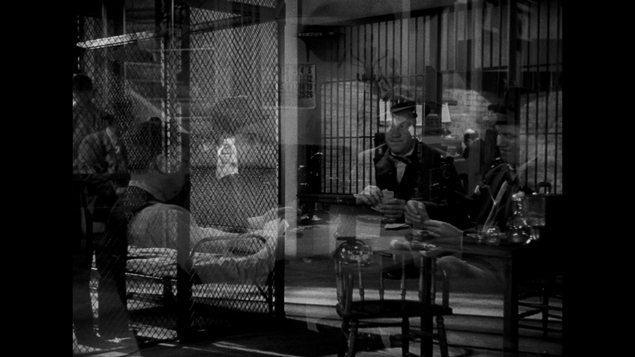 vlcsnap-2024-02-17-19h20m07s496