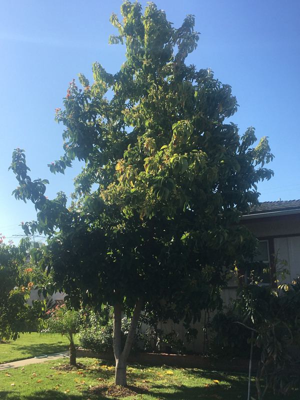 8F0597BD-2C8E-4D10-B2A9-8542CD93741D