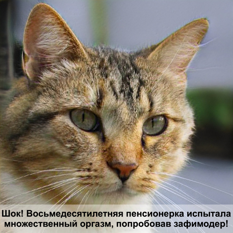 домик для кошки своими руками из фанеры