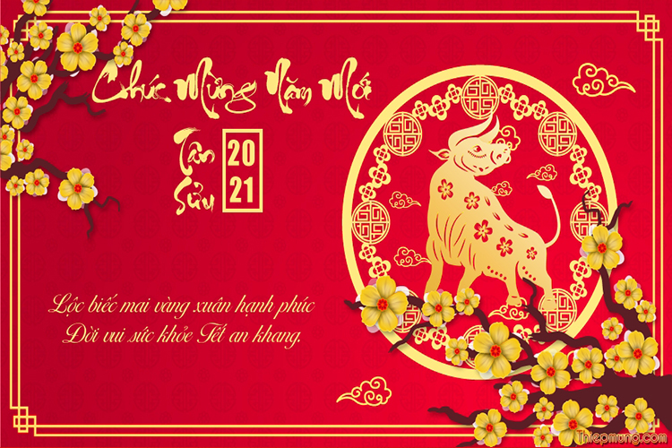 [Image: thiep-tet-hoa-mai-20215f0835474f33a-cdca...d2b949.jpg]