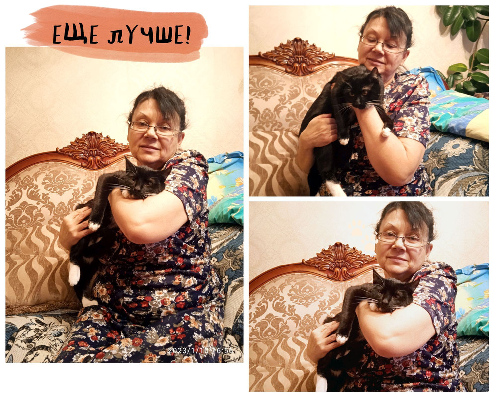 Дома хорошо (2)