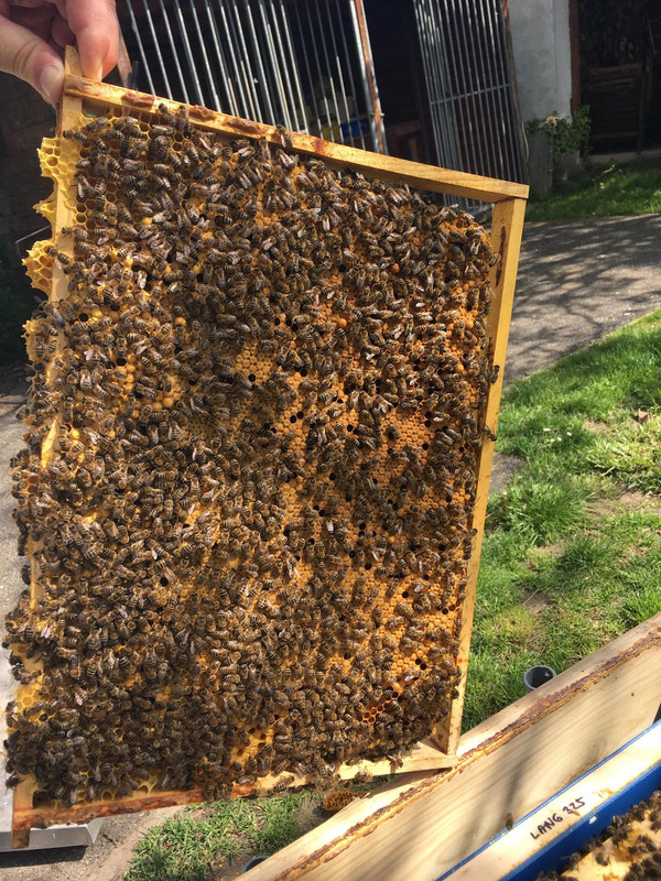 FA6B513D-AD49-4405-8045-A66F9CBD4F93