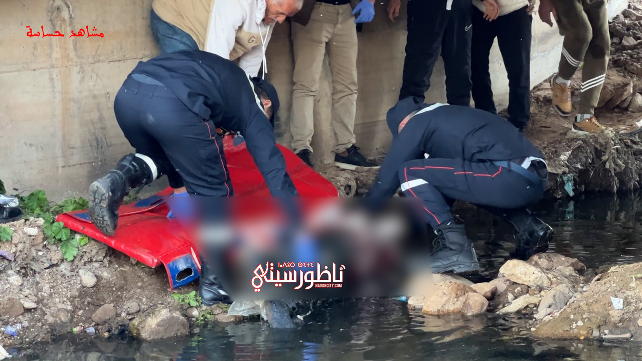 Sequence-01-00-00-28-17-Still008