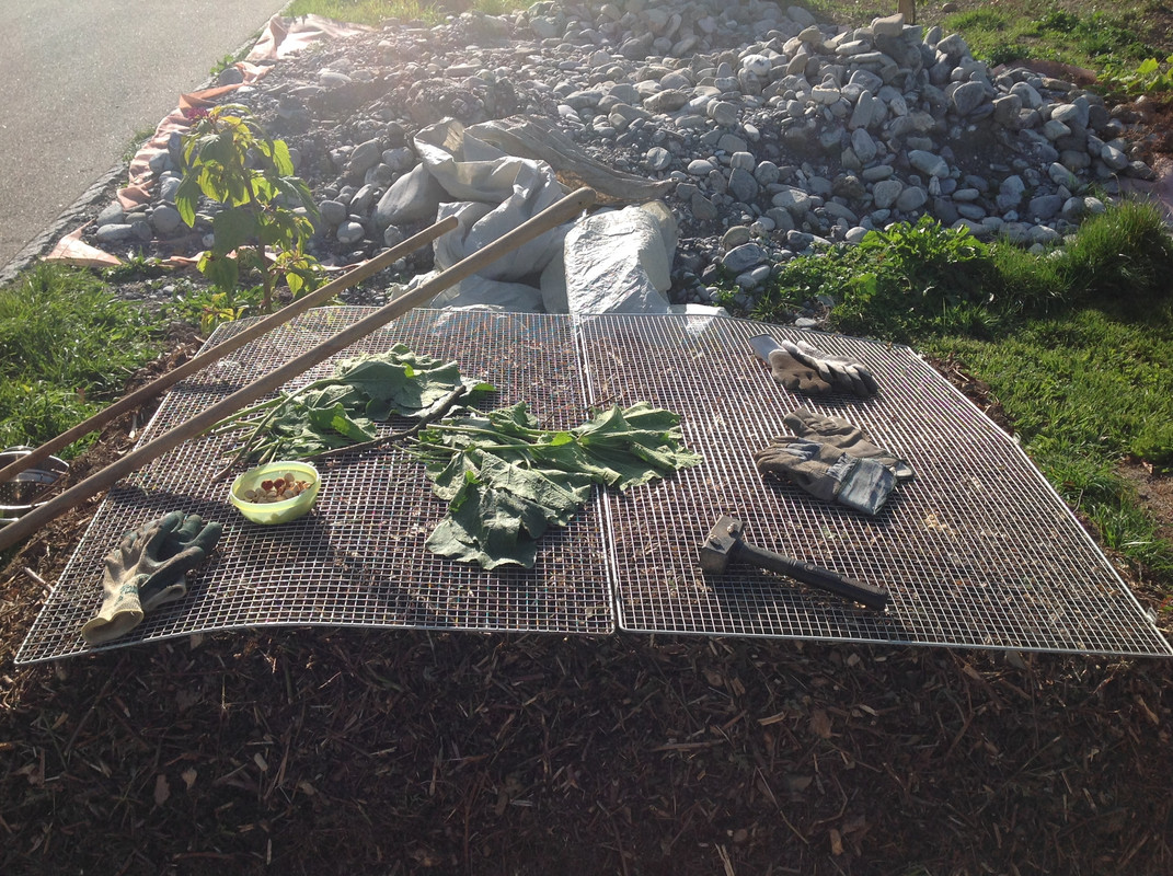 Kompostmiete Aus Drei mach Eins 2.Okt. 2015 (2)