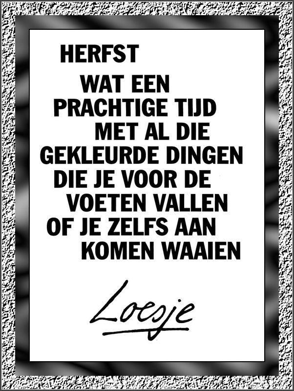 loesje