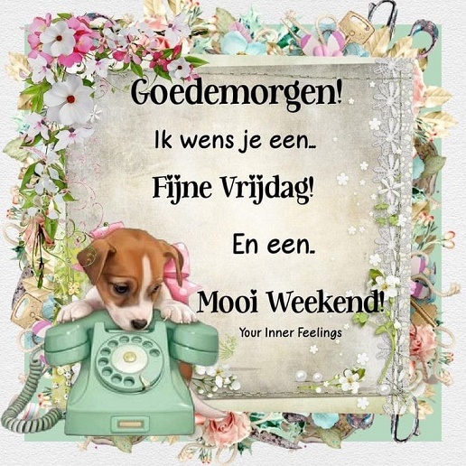 v-RIJDAG.jpg