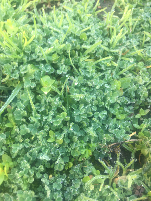 3F58C435-A18A-49F7-94A1-D2A1FC55745B