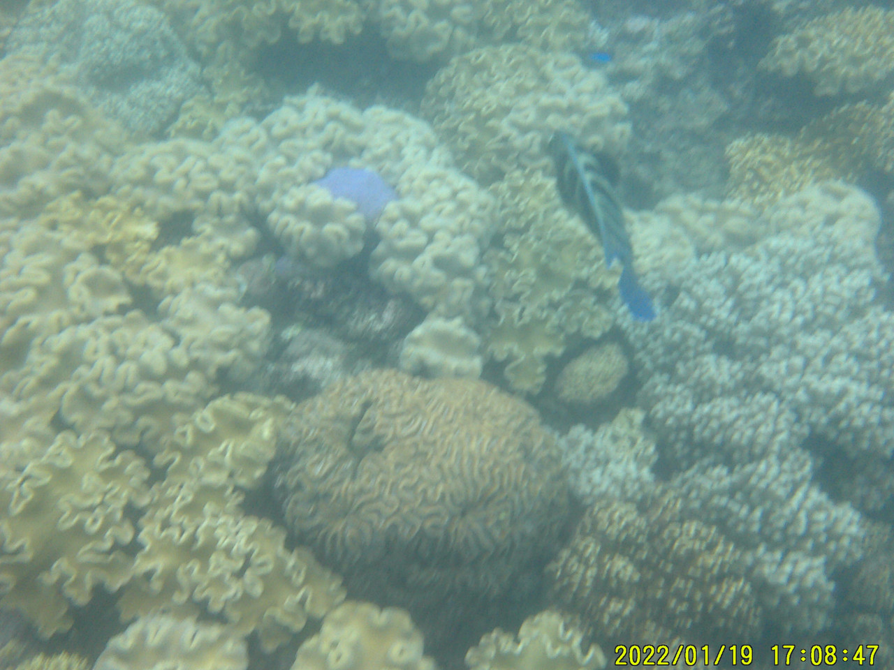 DSCF0011