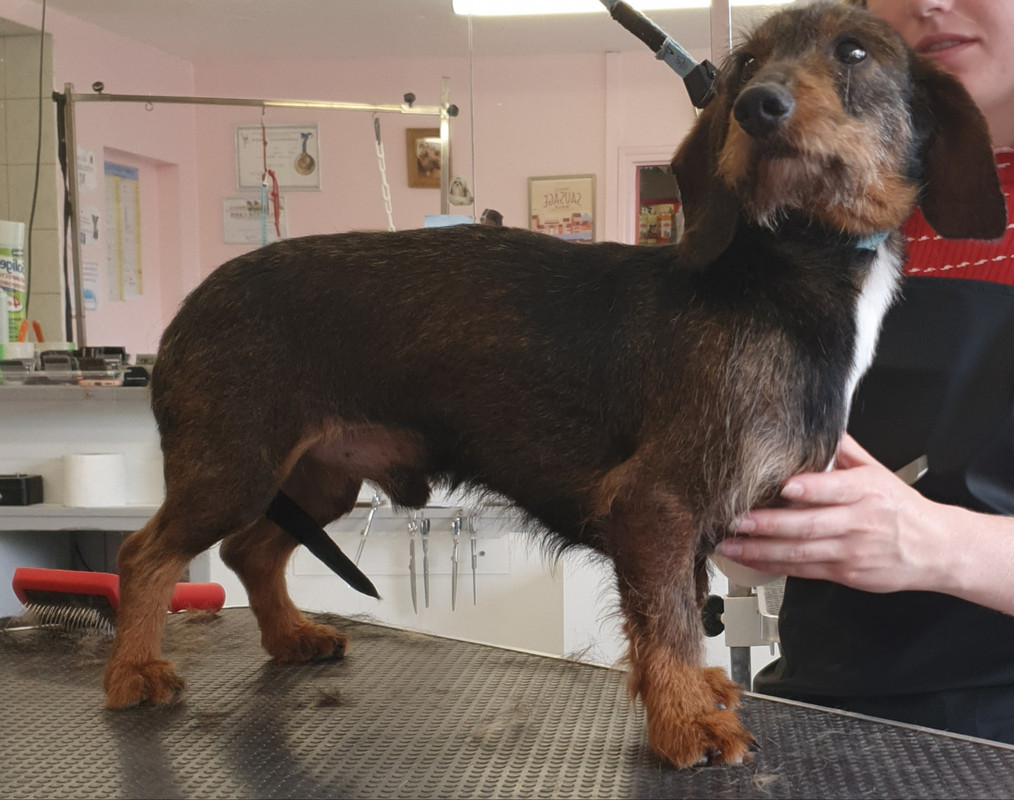 [Image: 20220512-214712.jpg]