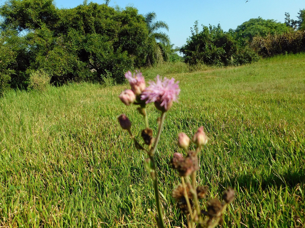 DSCN3073.jpg