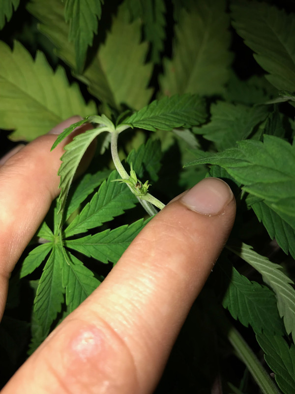 C69E8096-71B0-4E4E-9731-9044EBFCFB26