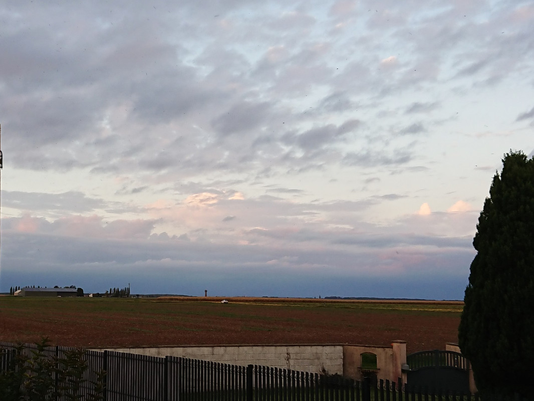 [Image: DSC-3197.jpg]