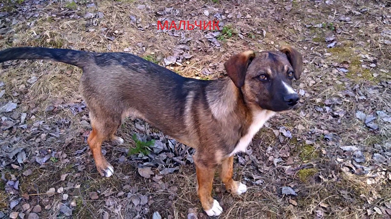 B4E89CB0-34A8-407D-9376-3C96518D42FC