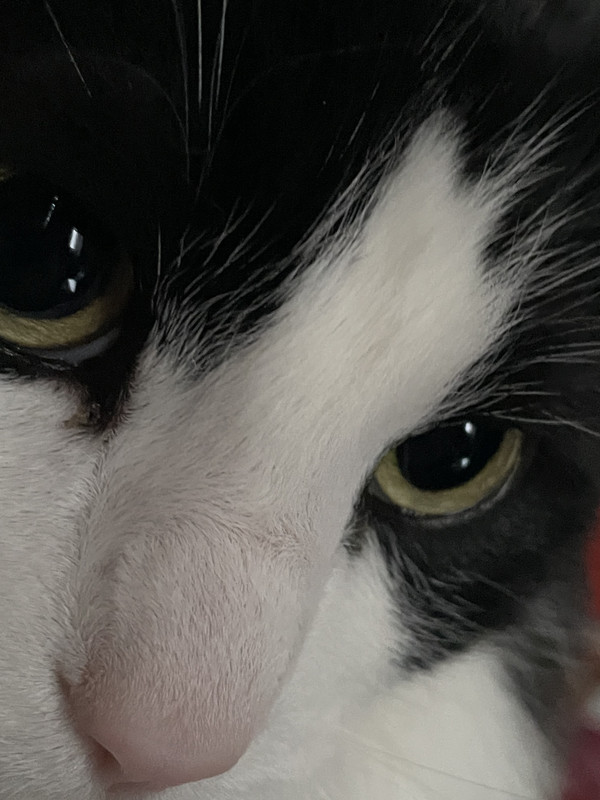 31ED825F-F445-40A3-9898-189ADF8E4628