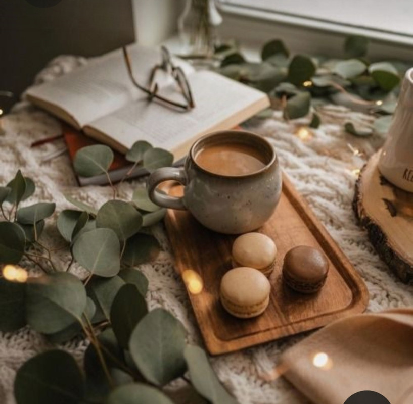 Screenshot_20231015_194616_Pinterest