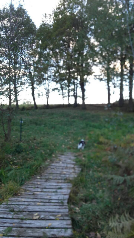 0F022715-3AA2-4E56-88E9-8E8AD5661708