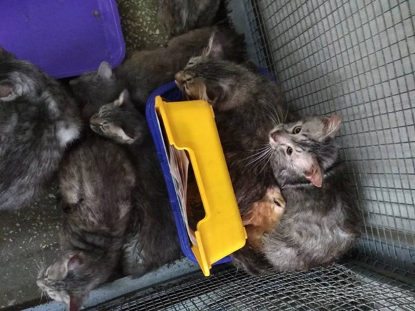 020573FC-C457-4C33-AC5B-0112A8523D82