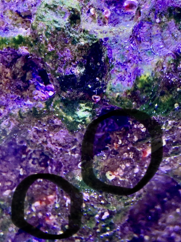 C1304919-4E31-4789-813B-431159F70C09