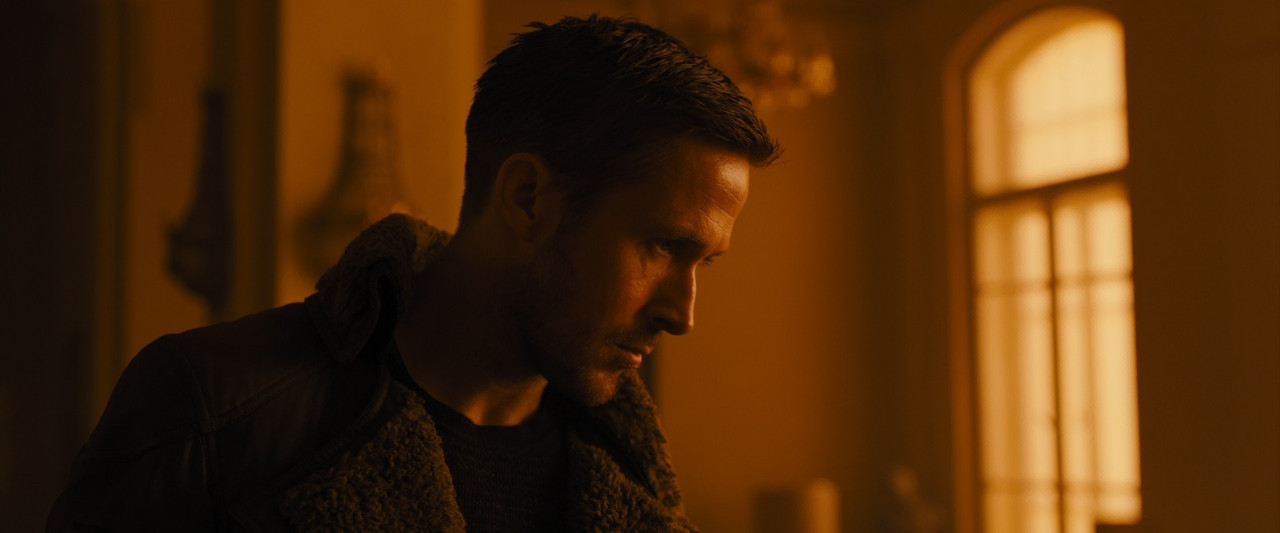 Blade Runner 2049 2017 (1080p x265 10bit Tigole).mkv_snapshot_01