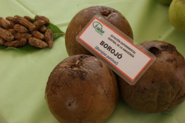 Cómo se hace el jugo de borojó