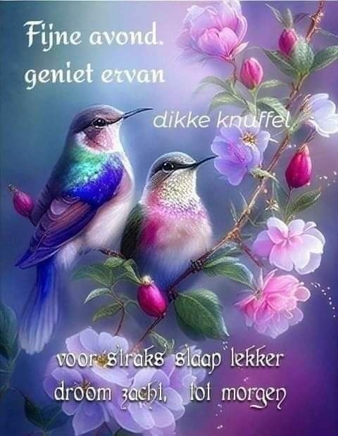 3ec7a6e64bf1d3df8ca5f84049b71f6a