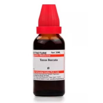 Willmar Schwabe India Taxus Buccata 1X (Q) (30ml)