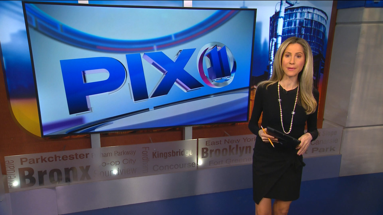 08.13 - 03.00.00 - PIX11 News at 10 with Tamsen Fadal and Kori Chambe....ts_snapshot_02.06.754