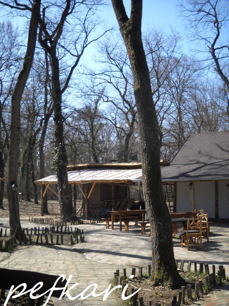 Slika