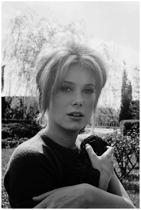 catherine_deneuve_me44