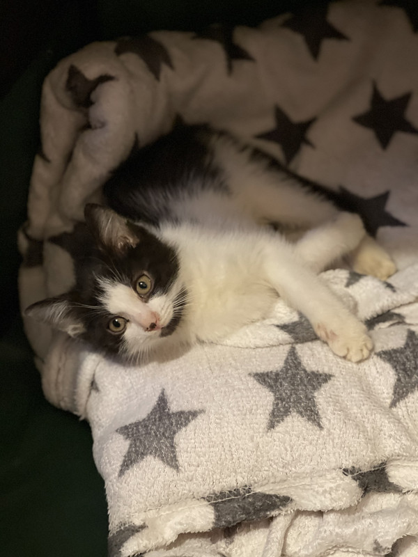 57AE8095-74E6-4525-9230-2152FB9727E9