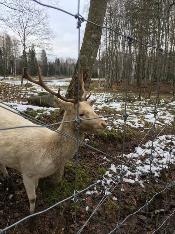 B4CB0D8C-586B-43FE-B905-EBB8D203AD45