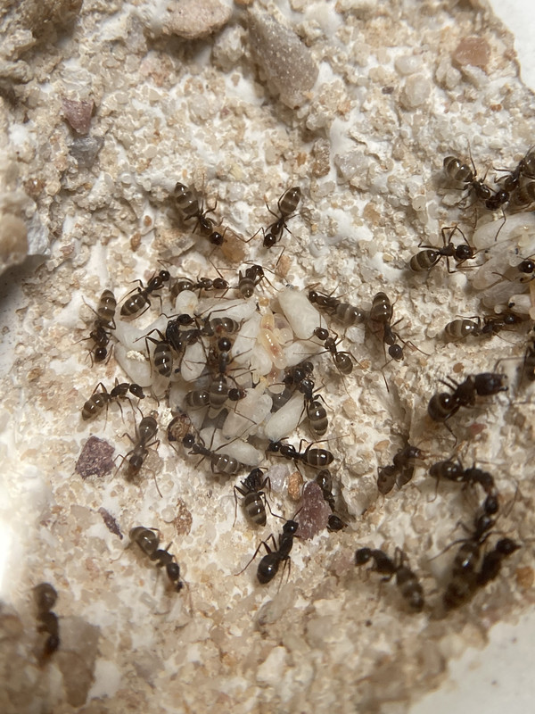 2A7B4354-10B2-4710-97AA-06CB06A45112