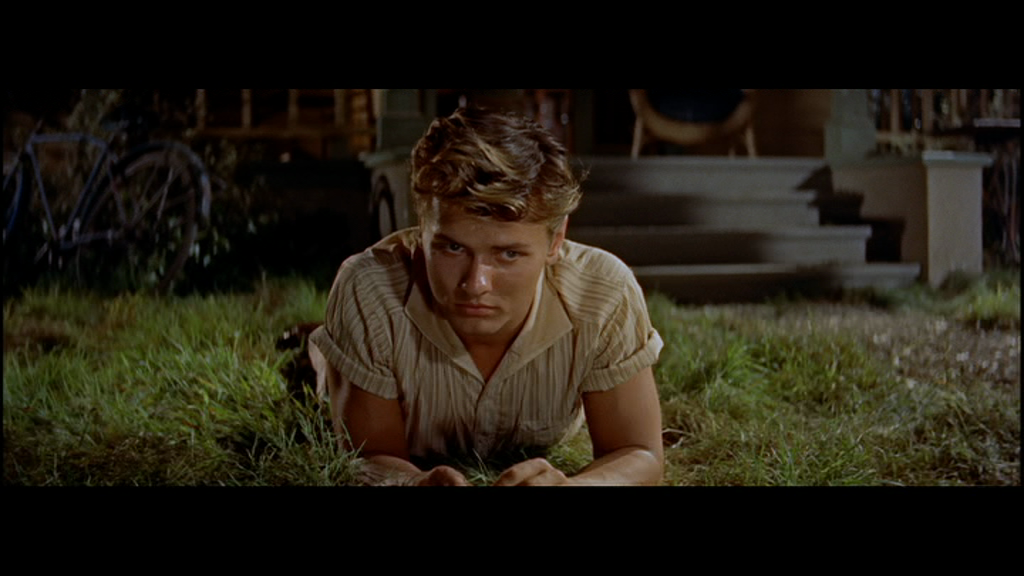 vlcsnap-2016-12-30-08h24m13s38