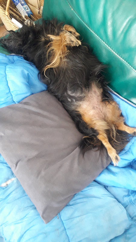 [Image: 20210502-150718.jpg]