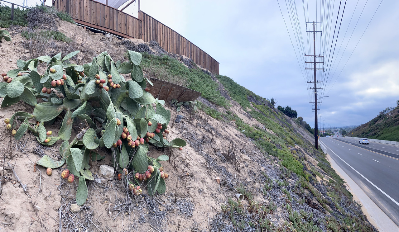 2DCCFB65-93E7-4C21-B3E9-D8DAAEE8789C