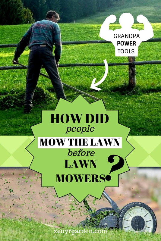 mow-lawn-before-lawn-mowers.jpg
