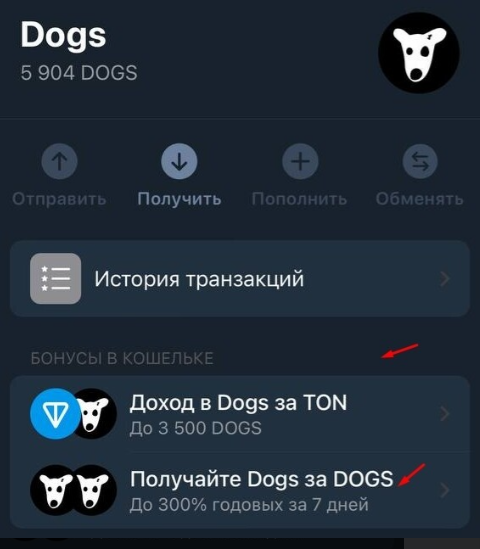 article content image
