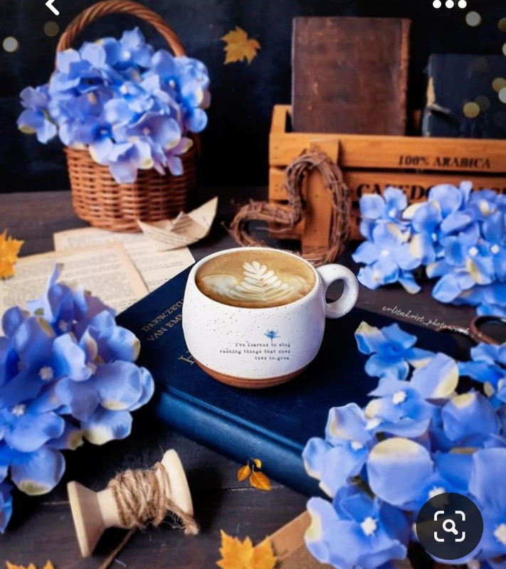 Screenshot_20230603_221341_Pinterest