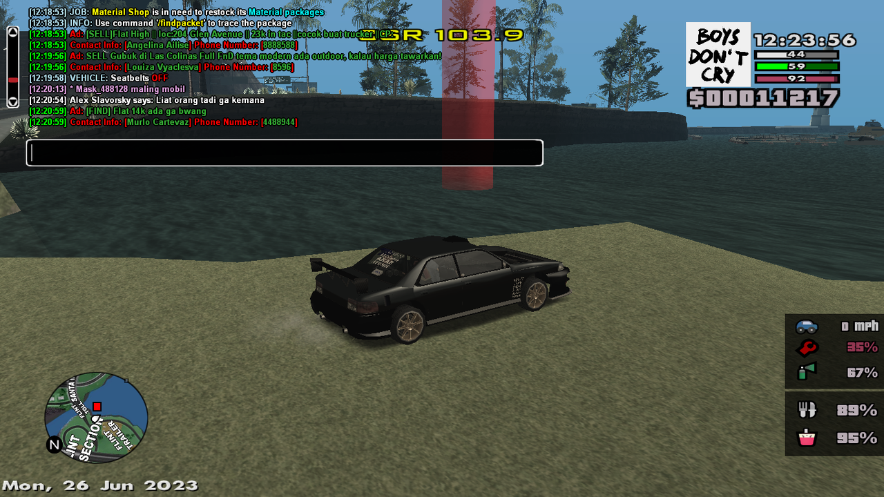 samp-26-06-2023-12-24-01.png