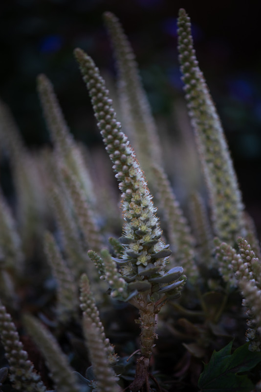 IMG-7bcb9e5e78d779916cf904996cdb8daa-V