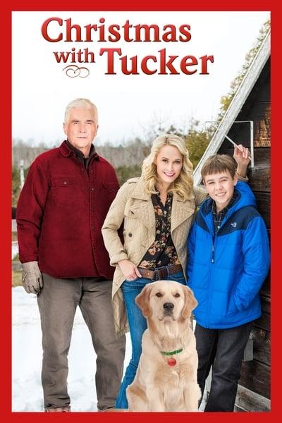 Christmas with Tucker 2013 1080p WEBRip x265-RARBG