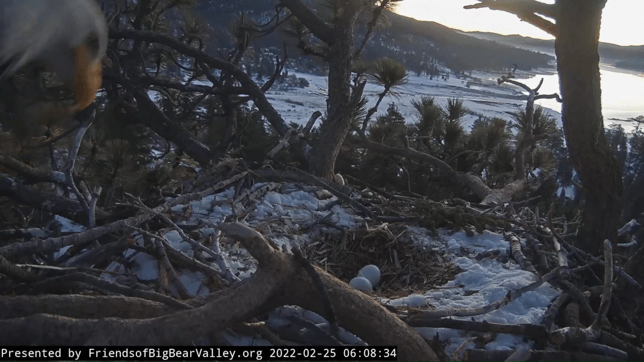 Webp.net-gifmaker (3)